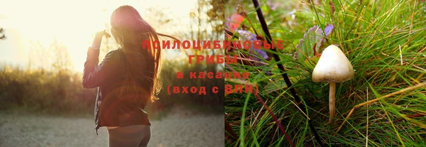 крисы Лихославль