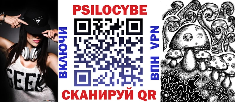 Псилоцибиновые грибы Psilocybe  Ладушкин 